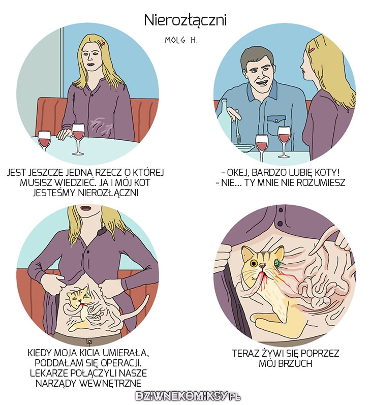 Papużki nierozłączki
