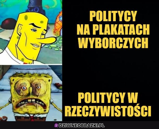 politycy