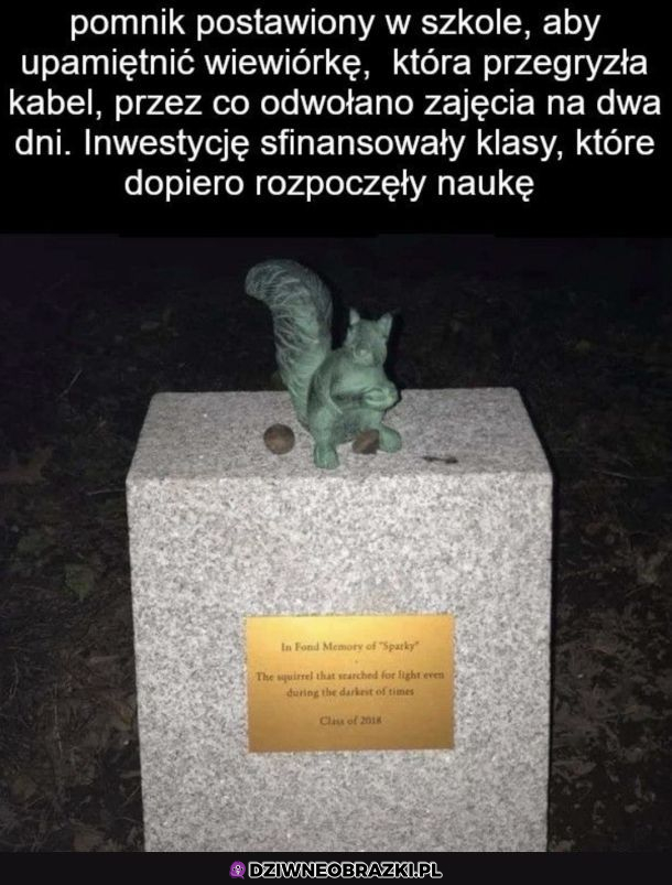 Pomnik