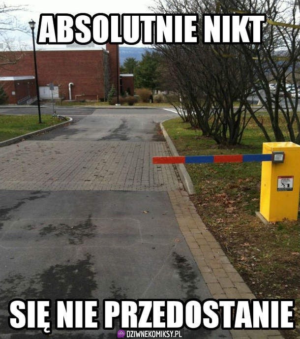 Darmowe antyviry takie są