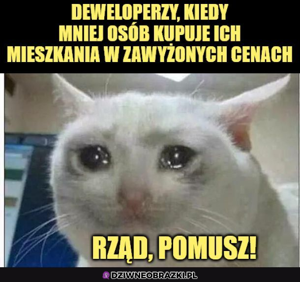 Coś w tym jest