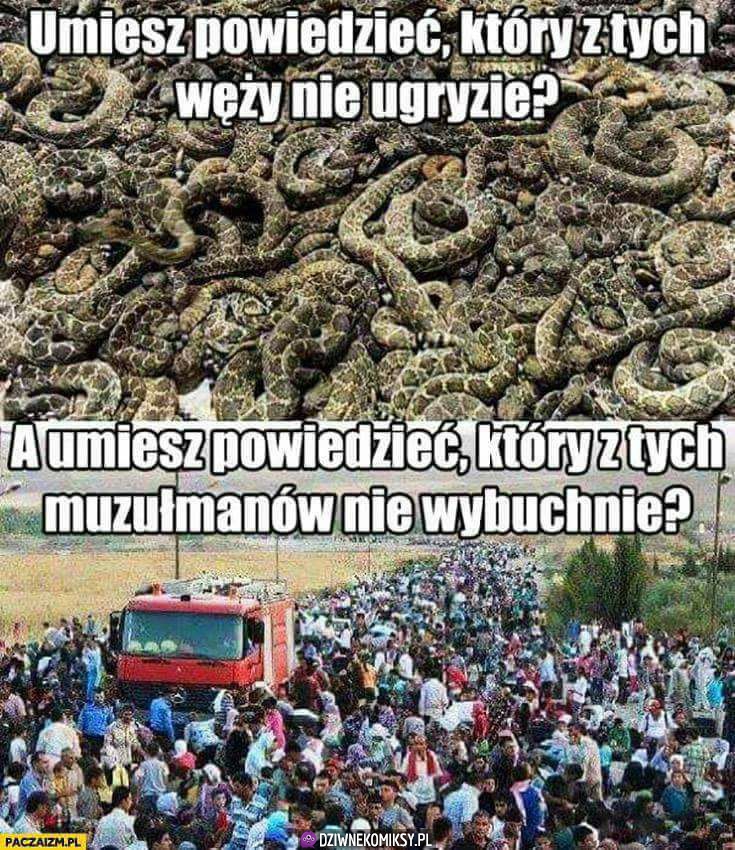 Znajdź różnice