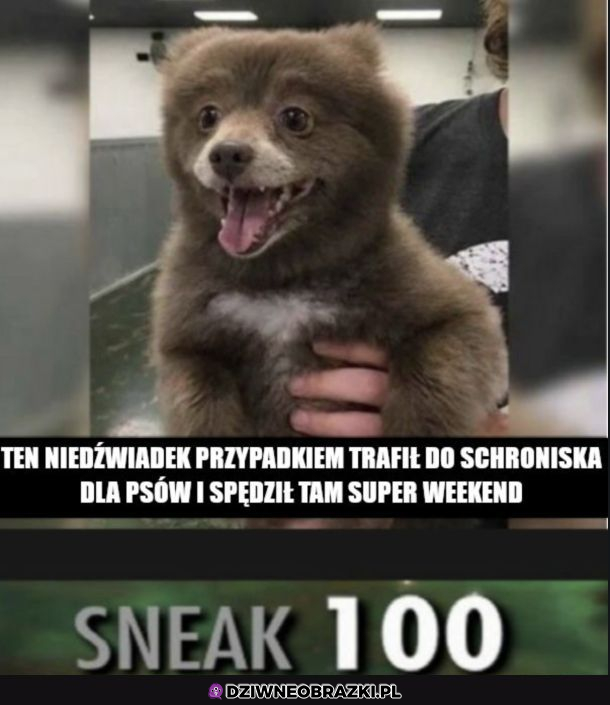 Chyba był szczęśliwy