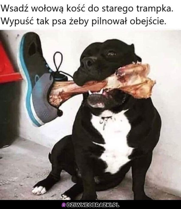 Dobry pomysł