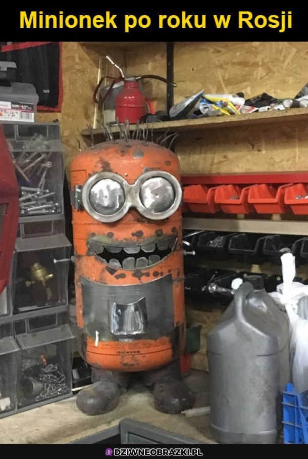 Minionek