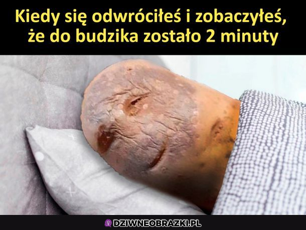 Czas tak szybko leci