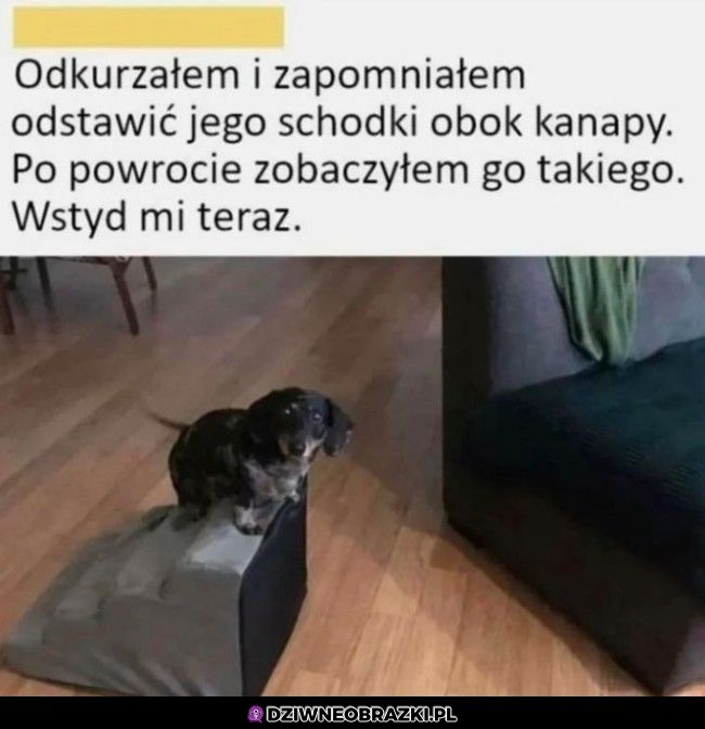 Jak mogłeś