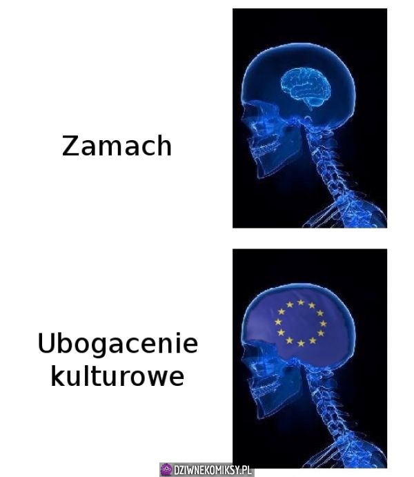 Myślenie Unii o zamachach