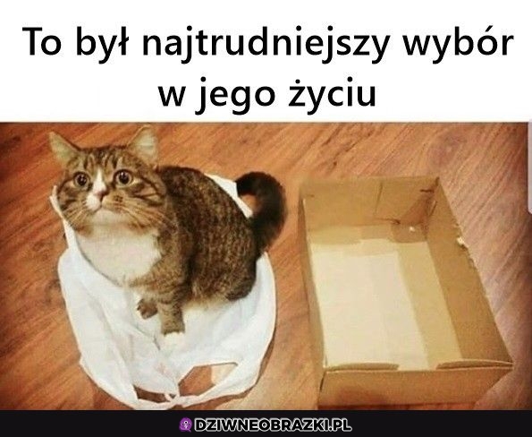 Trudny wybór