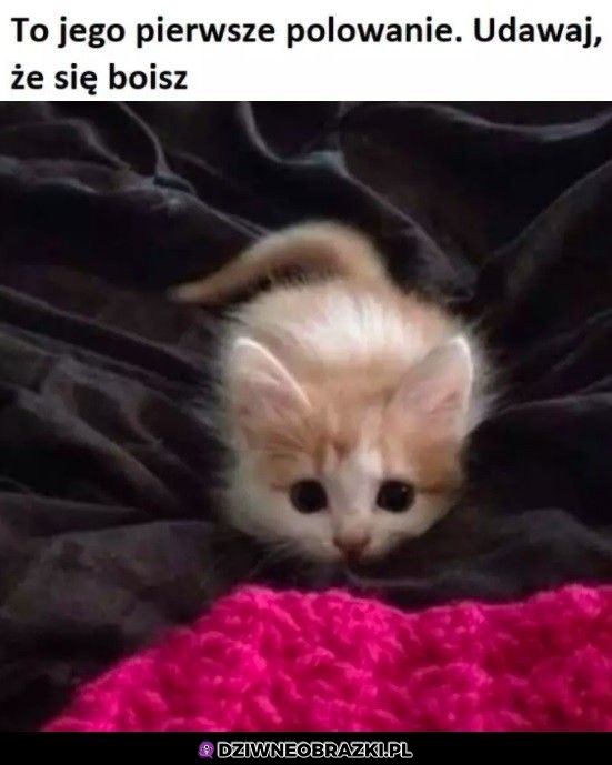 Zrób to dla niego