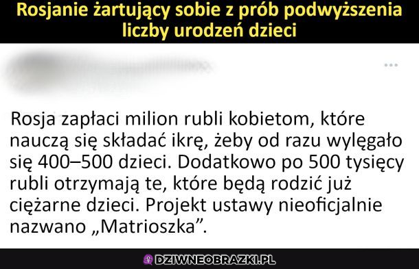 Projekt Matrioszka