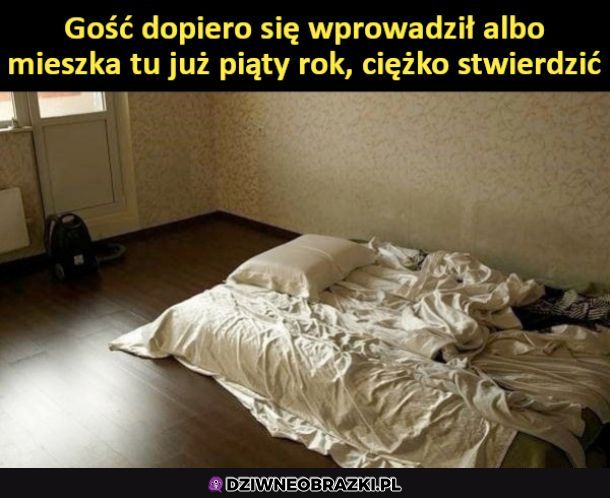 Jak myślicie?