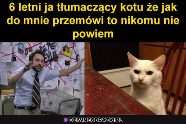 6 letni ja