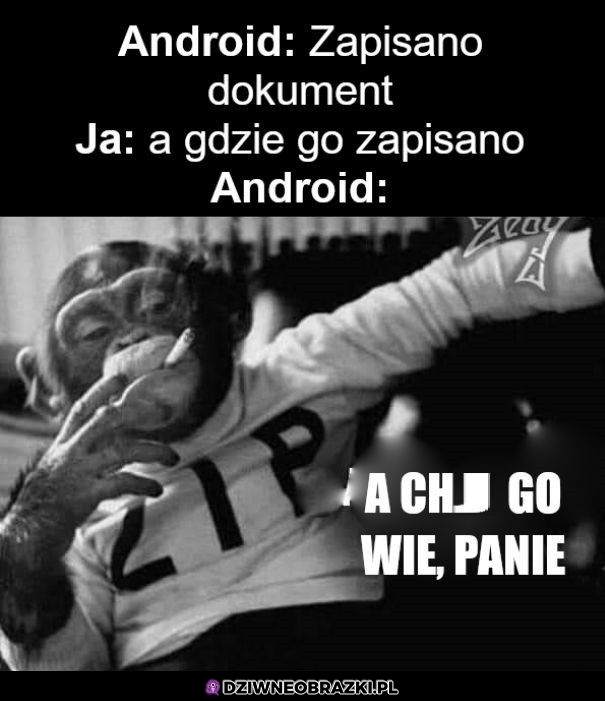 To gdzie on jest?