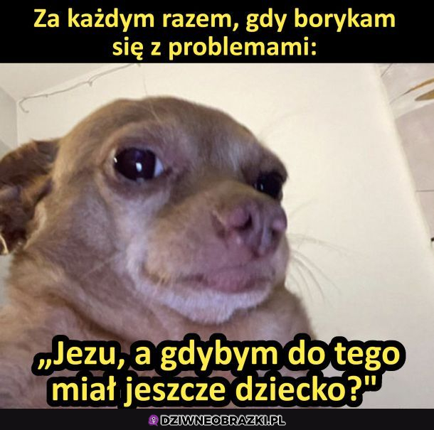 Dobrze, że nie mam kidosów