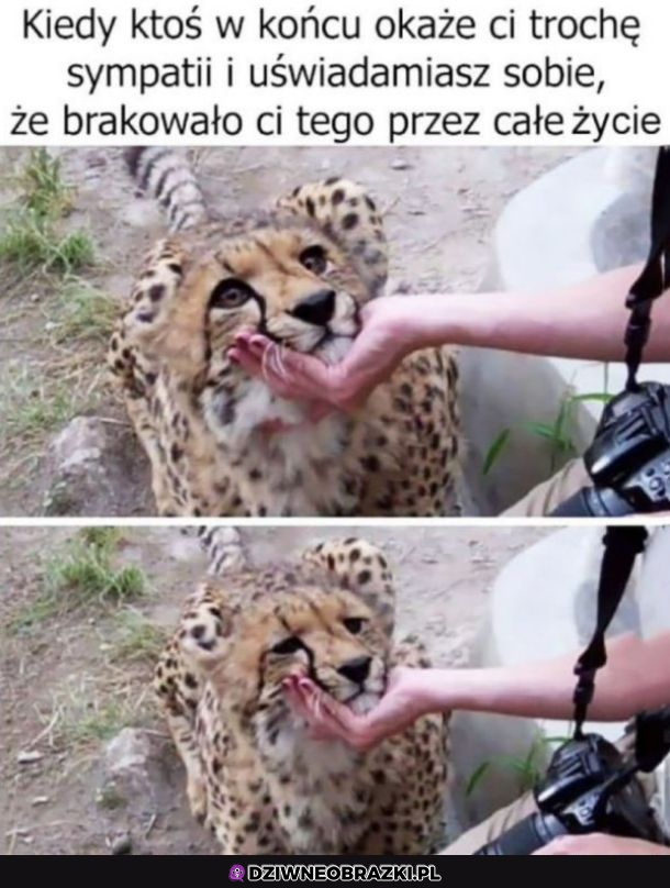 Lubię to uczucie
