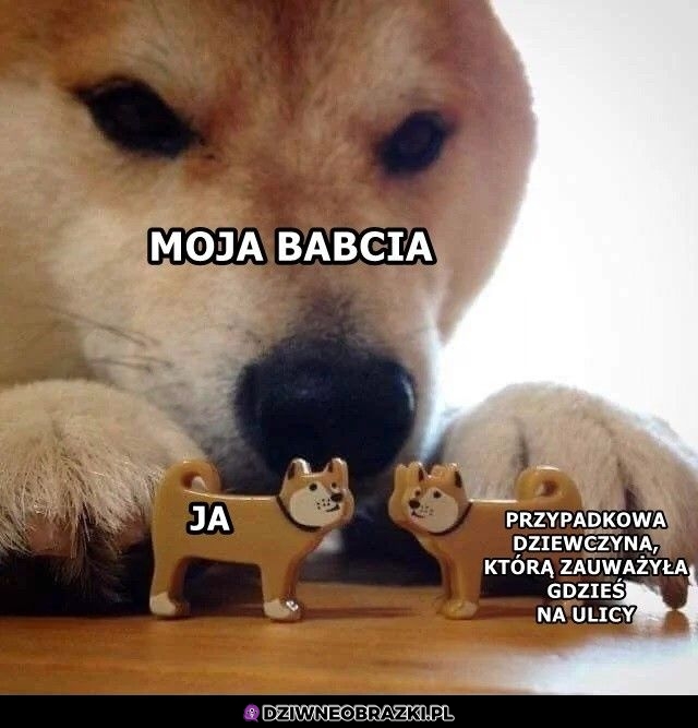 Patrz wnusiu