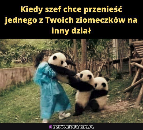 Kiedy szef zabiera ci ziomka