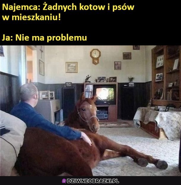 Kiedy najemca ci czegoś zabrania...