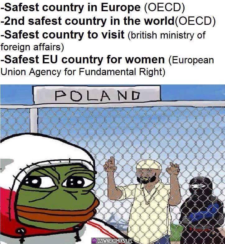 Polan stronk