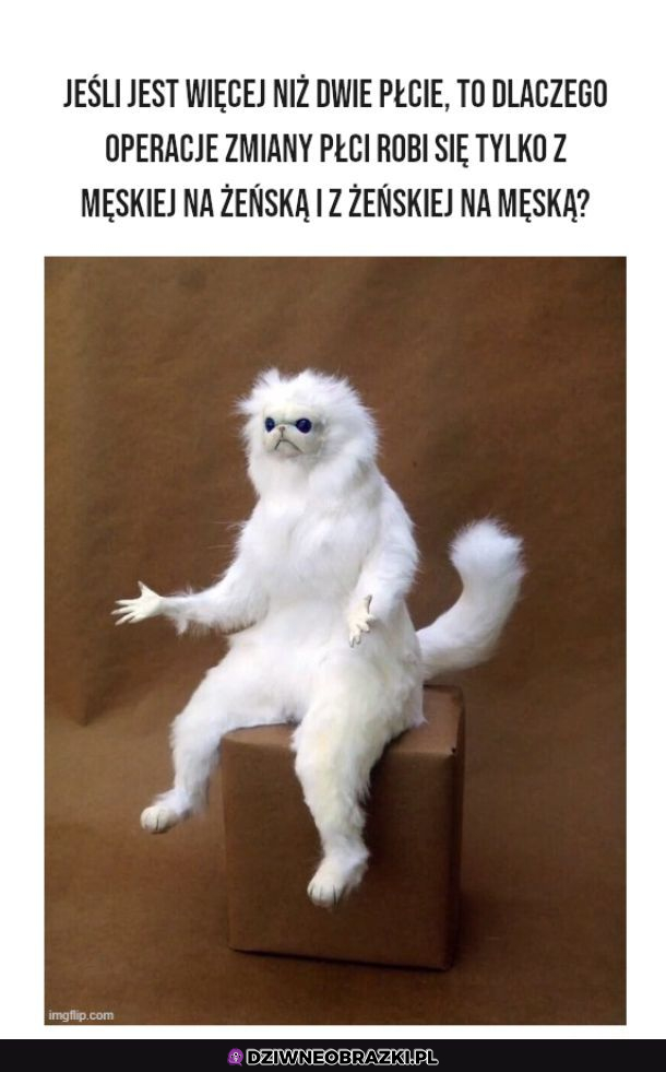 To co z tymi płciami?