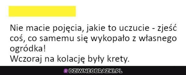 Macie pojęcie?