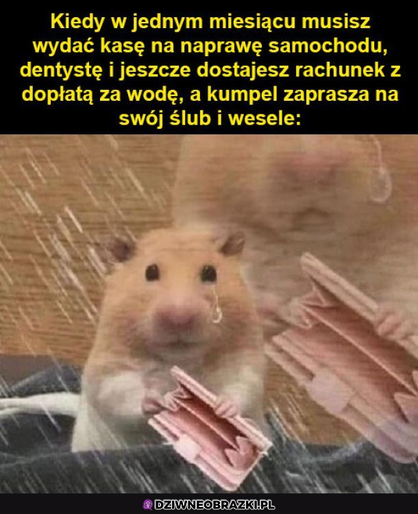 Płakać się chce