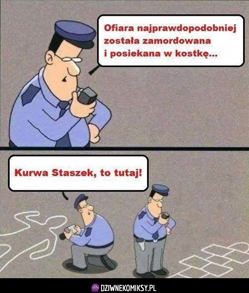 Staszek nie był najbystrzejszy w akademii