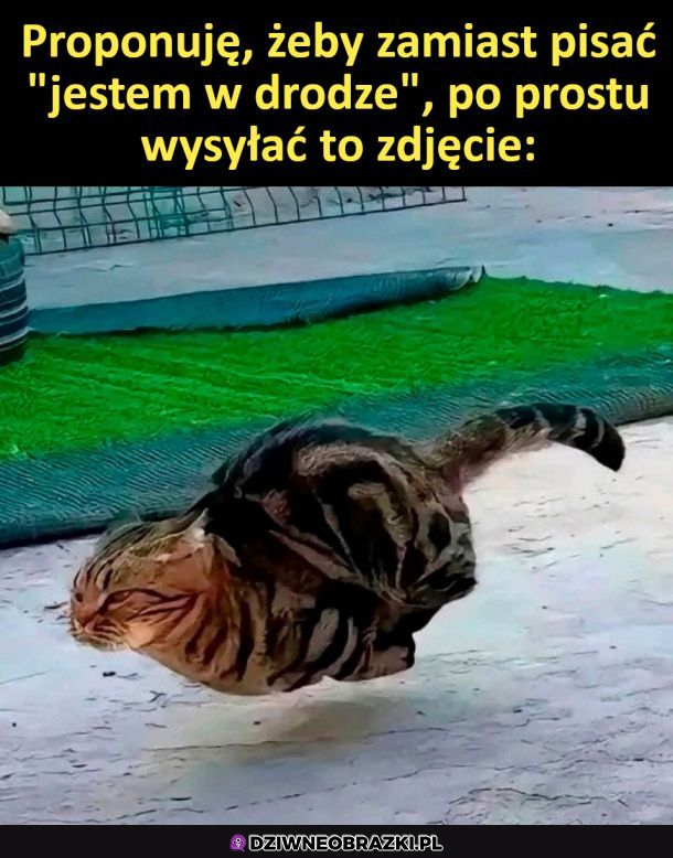 propozycja