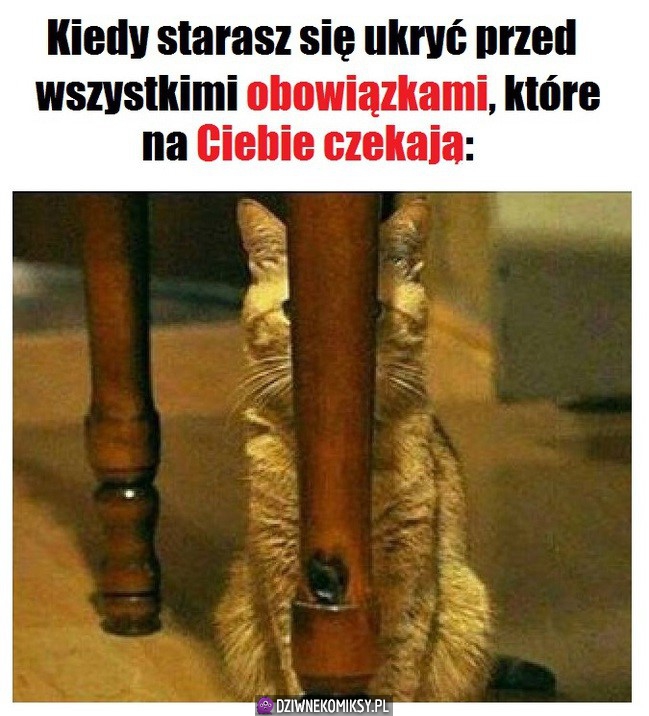 Nope, nie ma mnie