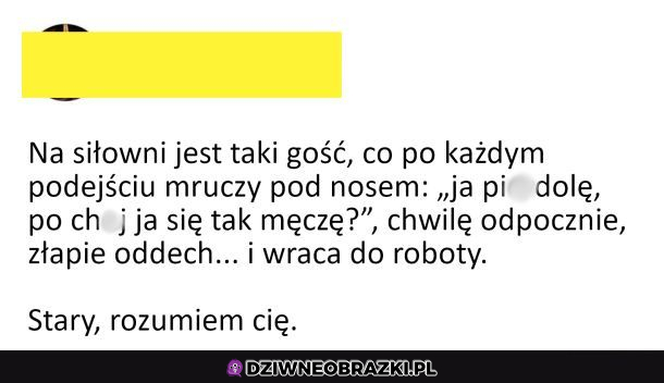 Każdy go rozumie