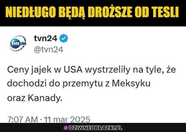 Ceny jajek