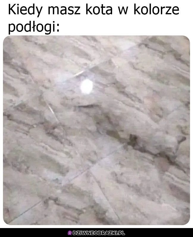 Przyjrzyj się dobrze