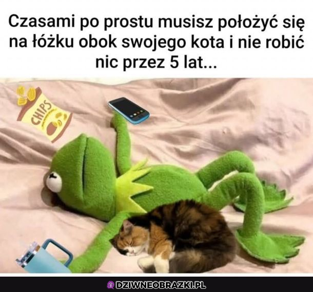 To uczucie