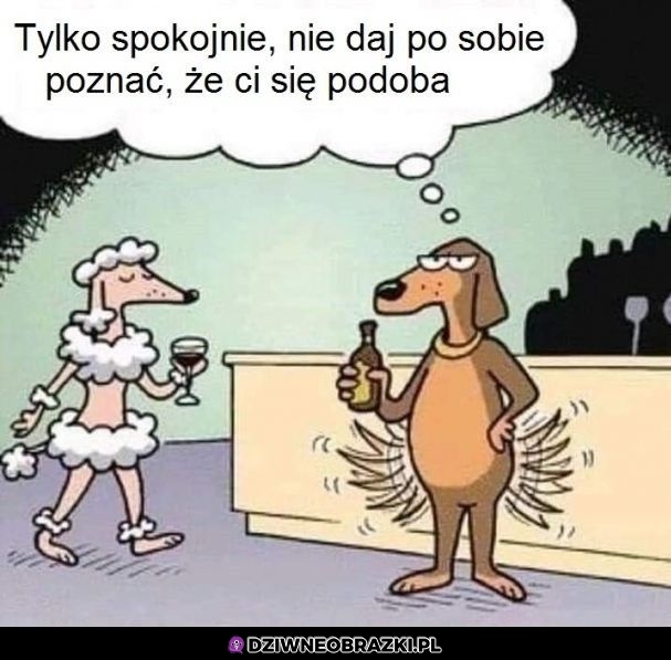 Nie daj poznać