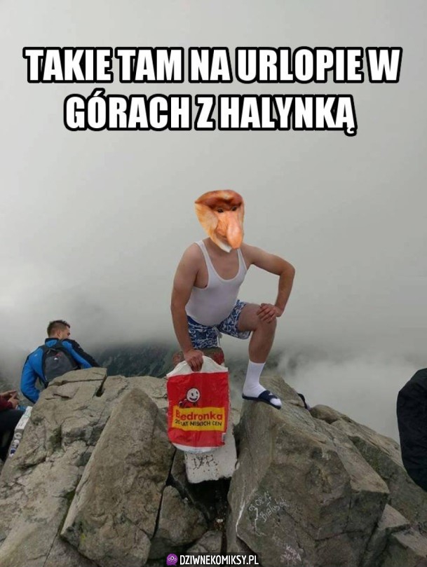 Polak na urlopie