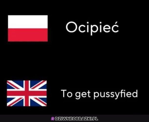 Tłumaczenie