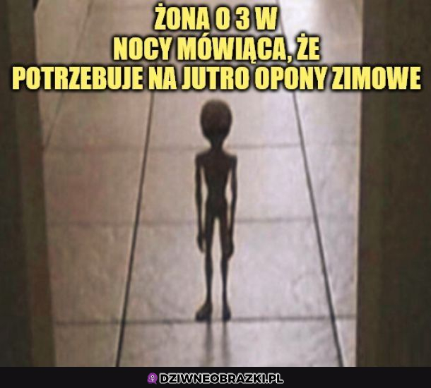 Lekko się zapomniało