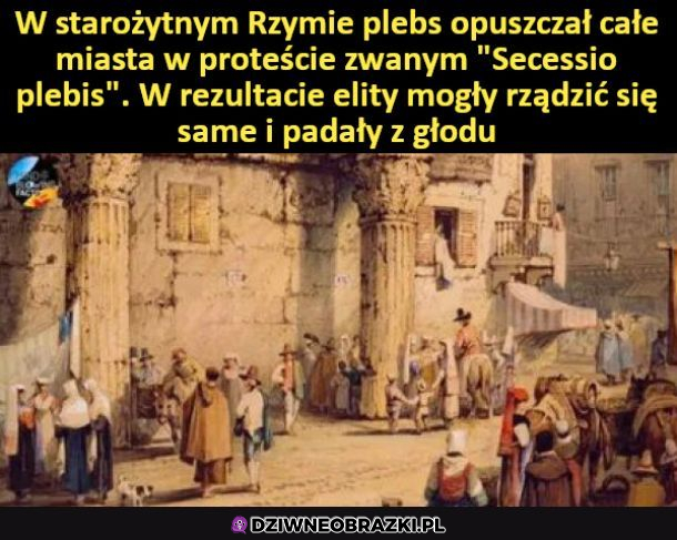 Nieźle to wymyślili