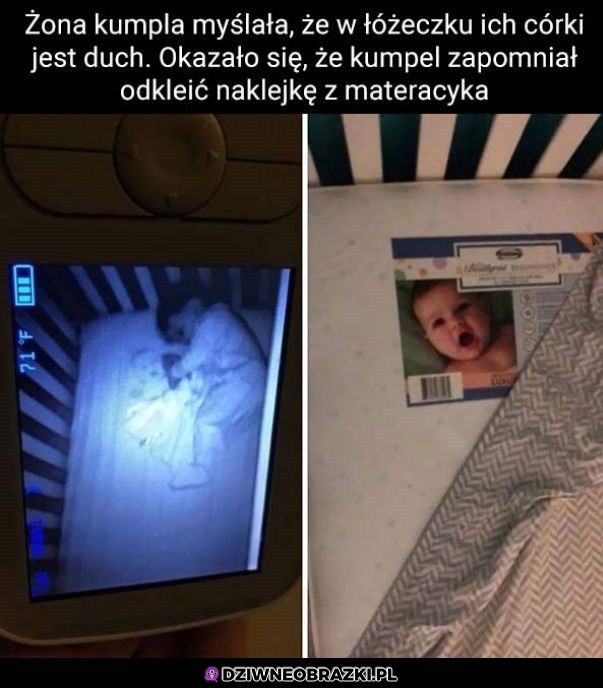 Kurka diabeł