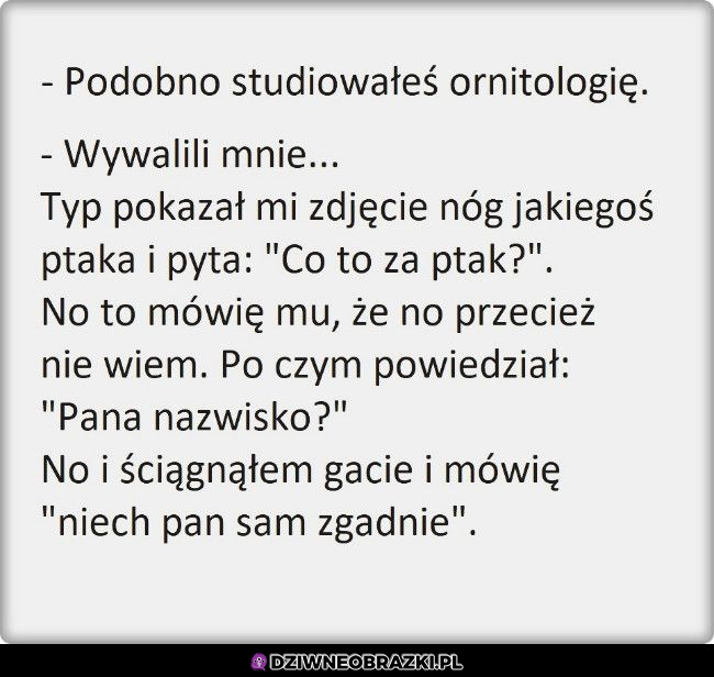 Tak można wylatywać z uczelni