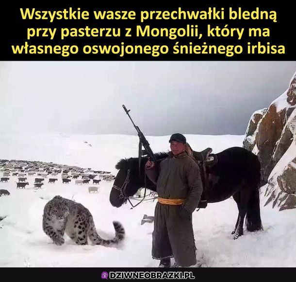 pasterz z Mongolii