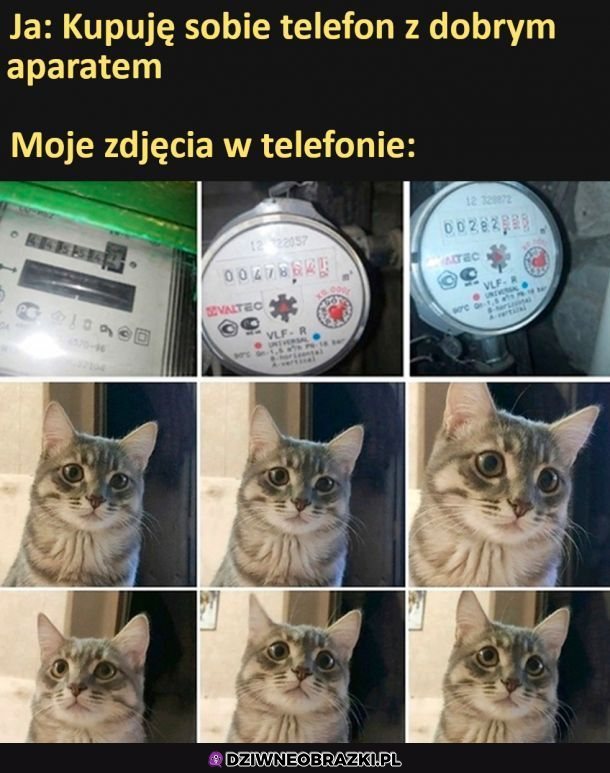 Moja galeria