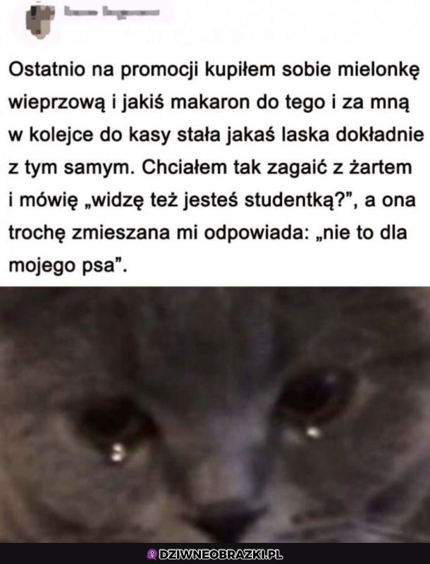 Życie studenta 
