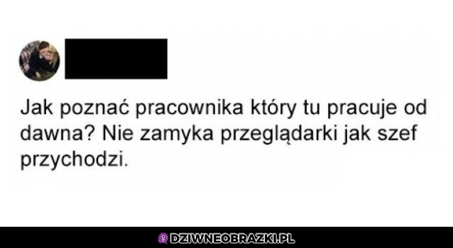 Widać, że stary wyga