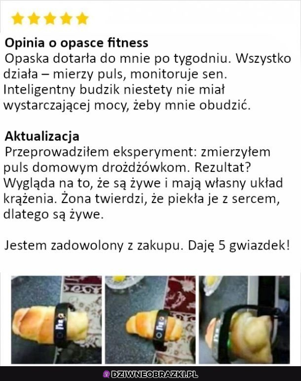 5 gwiazdek!