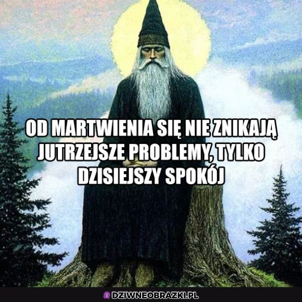 Trafnie powiedziane