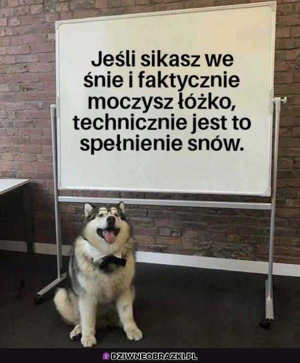 Spełniaj swoje sny