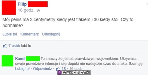 Penis ma 3 centymetry