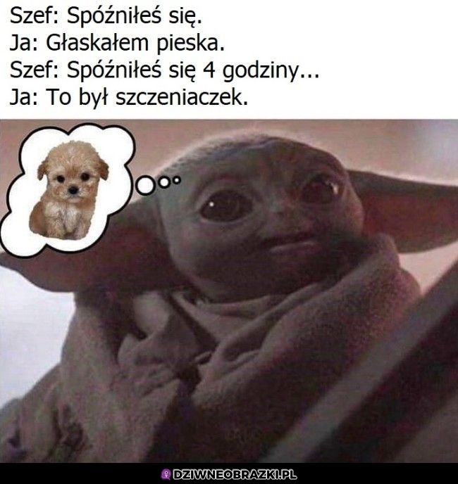 Okej, rozumiem